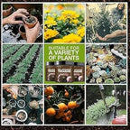 🌱 Soil Activator – Plant's Best Friend (BUY 1 GET 1 FREE ) Pack of 2